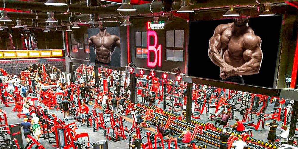 B1-GYM